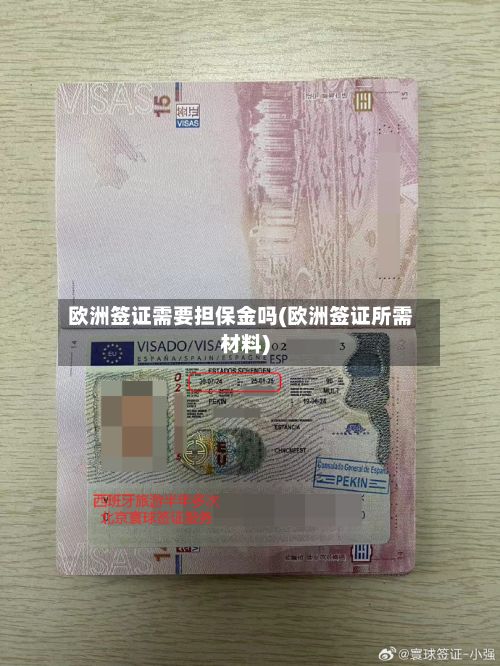 欧洲签证需要担保金吗(欧洲签证所需材料)