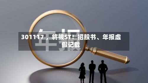 301117 ，将被ST！招股书、年报虚假记载-第2张图片