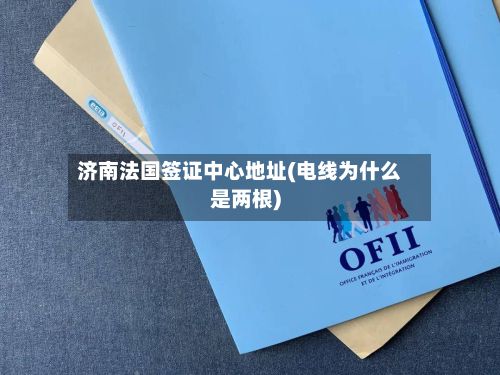 济南法国签证中心地址(电线为什么是两根)
