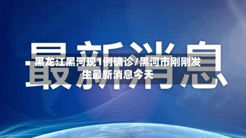 黑龙江黑河现1例确诊/黑河市刚刚发生最新消息今天-第3张图片