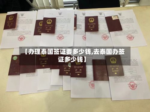 【办理泰国签证要多少钱,去泰国办签证多少钱】