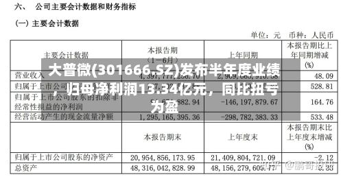 大普微(301666.SZ)发布半年度业绩，归母净利润13.34亿元，同比扭亏为盈-第3张图片
