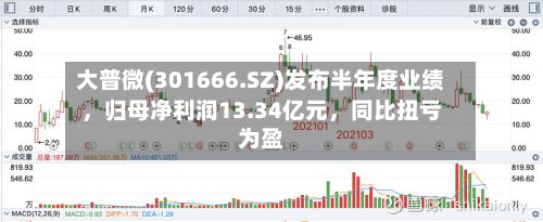 大普微(301666.SZ)发布半年度业绩	，归母净利润13.34亿元，同比扭亏为盈-第2张图片
