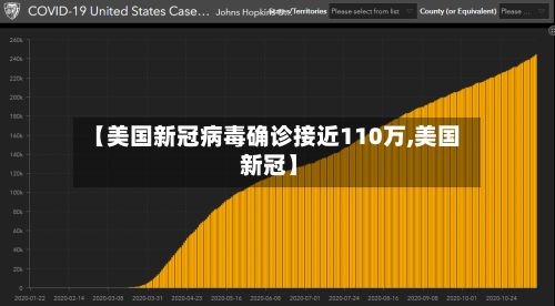 【美国新冠病毒确诊接近110万,美国 新冠】-第3张图片