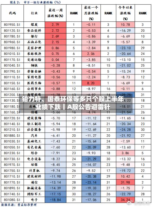 铂力特、国泰环保等多只个股上半年业绩下跌丨A股公告避雷针-第2张图片