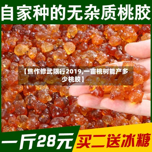 【焦作修武限行2019,一亩桃树能产多少桃胶】
