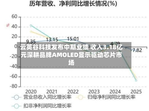云英谷科技发布中期业绩 收入3.18亿元深耕品牌AMOLED显示驱动芯片市场-第2张图片