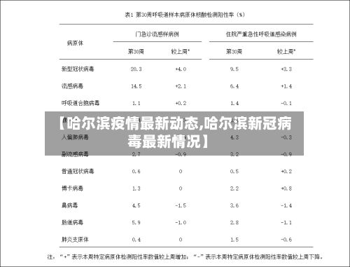 【哈尔滨疫情最新动态,哈尔滨新冠病毒最新情况】-第2张图片