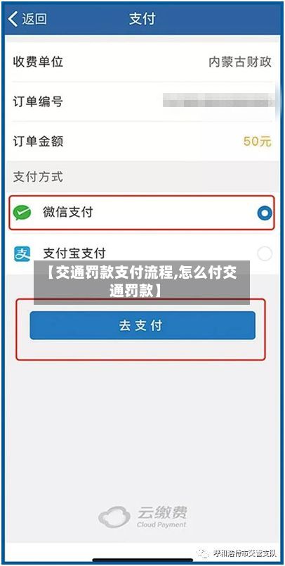【交通罚款支付流程,怎么付交通罚款】-第2张图片
