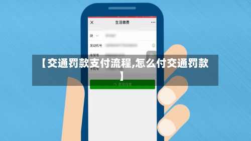 【交通罚款支付流程,怎么付交通罚款】