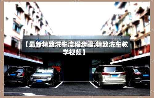 【最新精致洗车流程步骤,精致洗车教学视频】-第2张图片