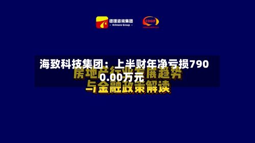 海致科技集团:上半财年净亏损7900.00万元