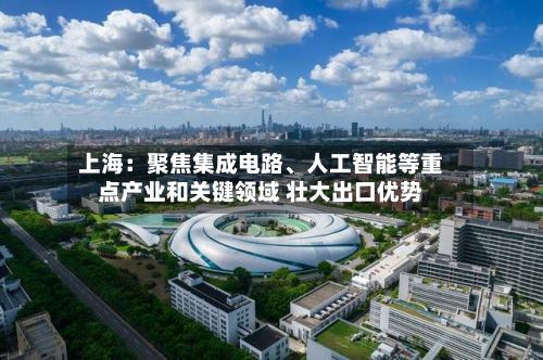 上海：聚焦集成电路、人工智能等重点产业和关键领域 壮大出口优势