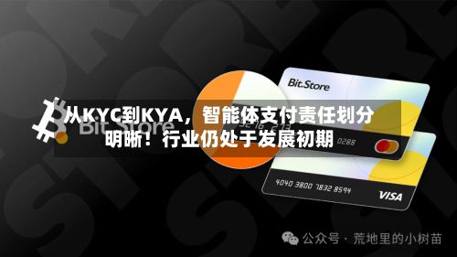 从KYC到KYA，智能体支付责任划分明晰！行业仍处于发展初期-第2张图片