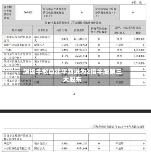 超级牛散章建平新进为2倍牛股第三大股东-第1张图片