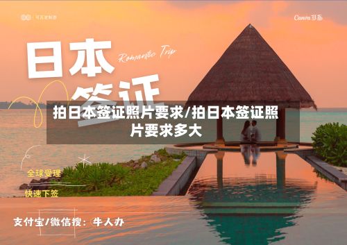 拍日本签证照片要求/拍日本签证照片要求多大-第3张图片