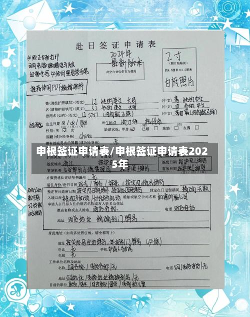 申根签证申请表/申根签证申请表2025年-第2张图片