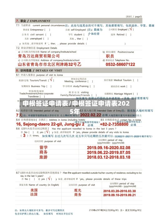 申根签证申请表/申根签证申请表2025年-第3张图片