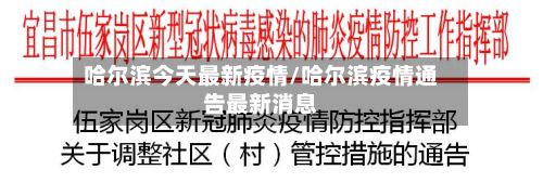 哈尔滨今天最新疫情/哈尔滨疫情通告最新消息-第3张图片