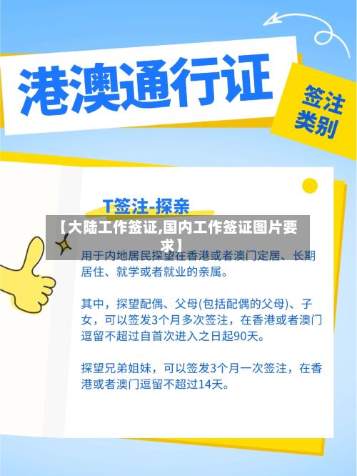 【大陆工作签证,国内工作签证图片要求】