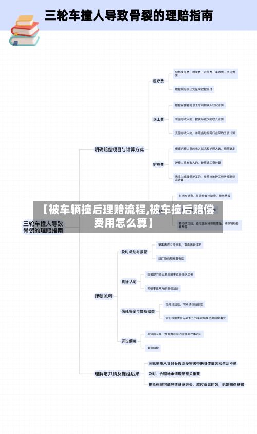 【被车辆撞后理赔流程,被车撞后赔偿费用怎么算】