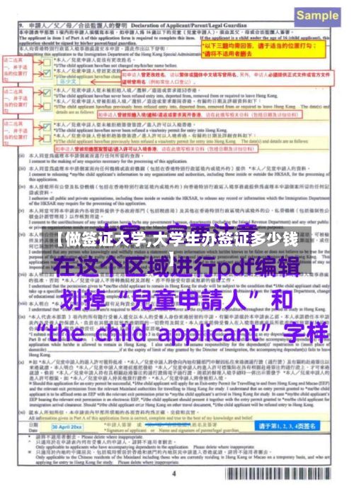 【做签证大学,大学生办签证多少钱】