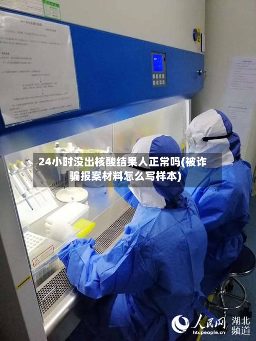 24小时没出核酸结果人正常吗(被诈骗报案材料怎么写样本)-第2张图片