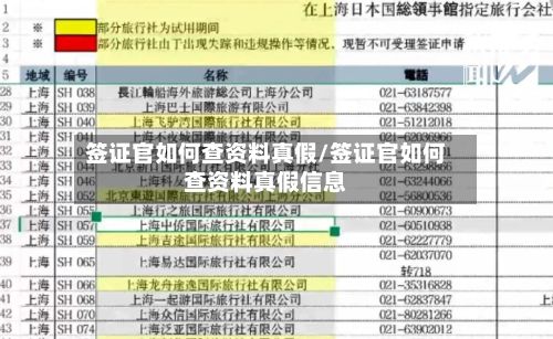 签证官如何查资料真假/签证官如何查资料真假信息-第2张图片