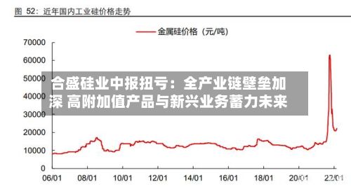合盛硅业中报扭亏：全产业链壁垒加深 高附加值产品与新兴业务蓄力未来-第2张图片