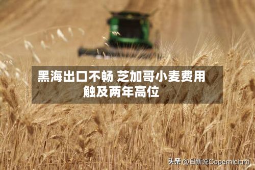 黑海出口不畅 芝加哥小麦费用触及两年高位-第2张图片