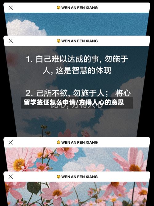 留学签证怎么申请/方得人心的意思-第3张图片