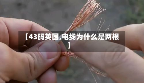 【43码英国,电线为什么是两根】-第2张图片