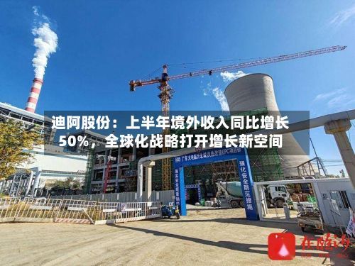 迪阿股份：上半年境外收入同比增长50%	，全球化战略打开增长新空间-第3张图片