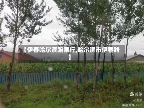 【伊春哈尔滨路限行,哈尔滨市伊春路】