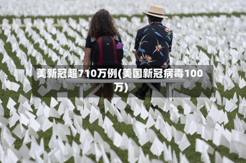 美新冠超710万例(美国新冠病毒100万)-第3张图片