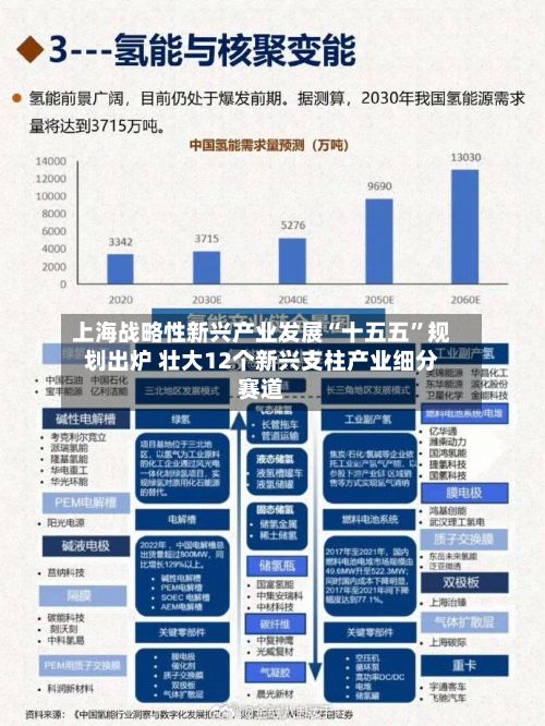 上海战略性新兴产业发展“十五五”规划出炉 壮大12个新兴支柱产业细分赛道-第2张图片