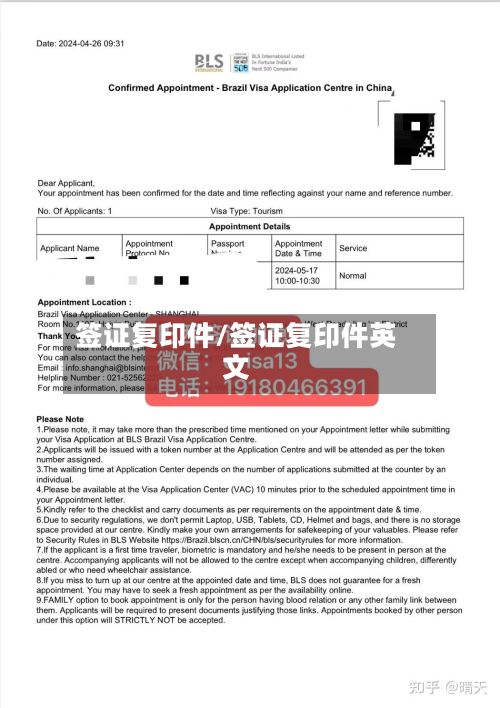 签证复印件/签证复印件英文-第3张图片