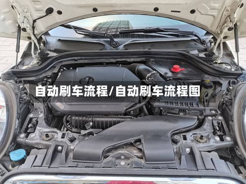 自动刷车流程/自动刷车流程图