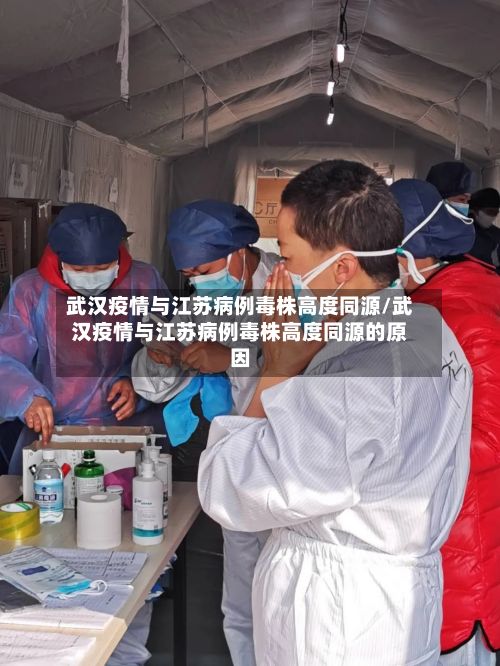 武汉疫情与江苏病例毒株高度同源/武汉疫情与江苏病例毒株高度同源的原因