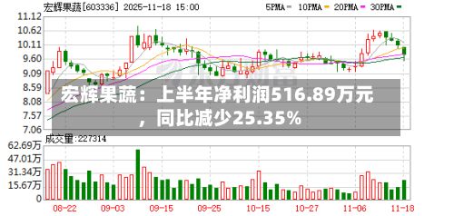宏辉果蔬：上半年净利润516.89万元，同比减少25.35%-第2张图片
