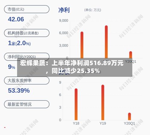 宏辉果蔬：上半年净利润516.89万元	，同比减少25.35%-第3张图片