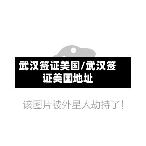 武汉签证美国/武汉签证美国地址-第3张图片