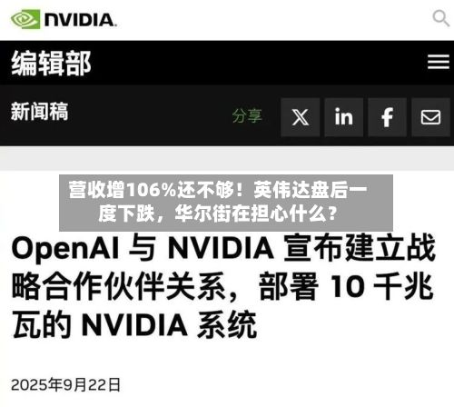 营收增106%还不够！英伟达盘后一度下跌，华尔街在担心什么？