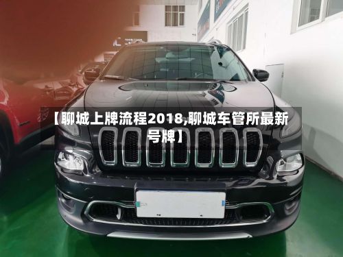 【聊城上牌流程2018,聊城车管所最新号牌】-第2张图片