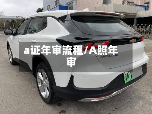 a证年审流程/A照年审-第3张图片