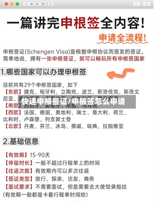 快速申根签证/申根签怎么申请