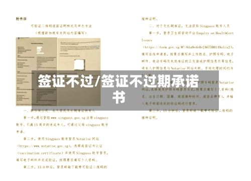 签证不过/签证不过期承诺书-第2张图片