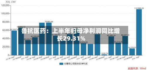 鲁抗医药：上半年归母净利润同比增长29.31%