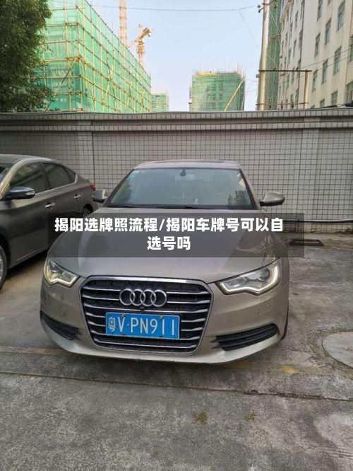 揭阳选牌照流程/揭阳车牌号可以自选号吗
