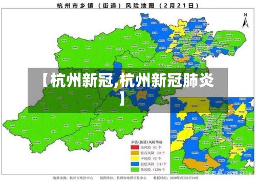 【杭州新冠,杭州新冠肺炎】